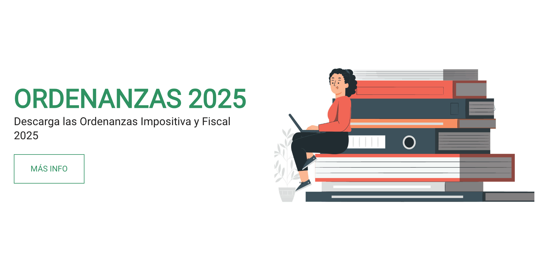 Ordenanzas 2025