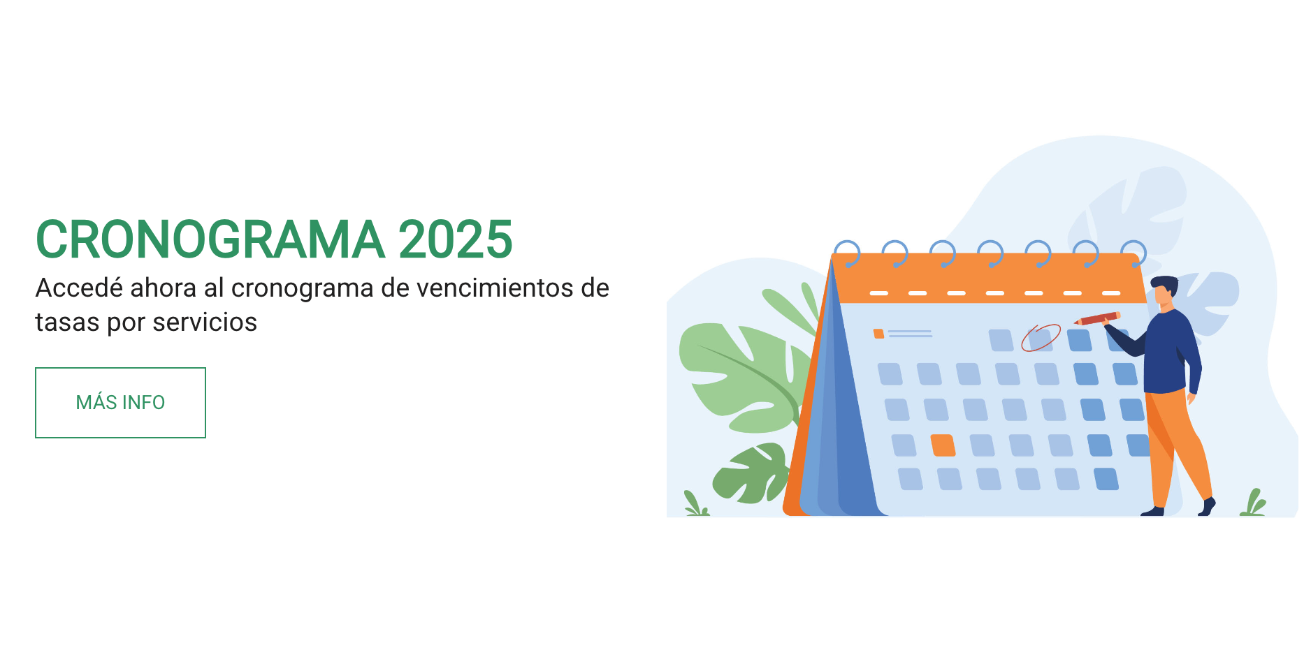Cronograma 2025