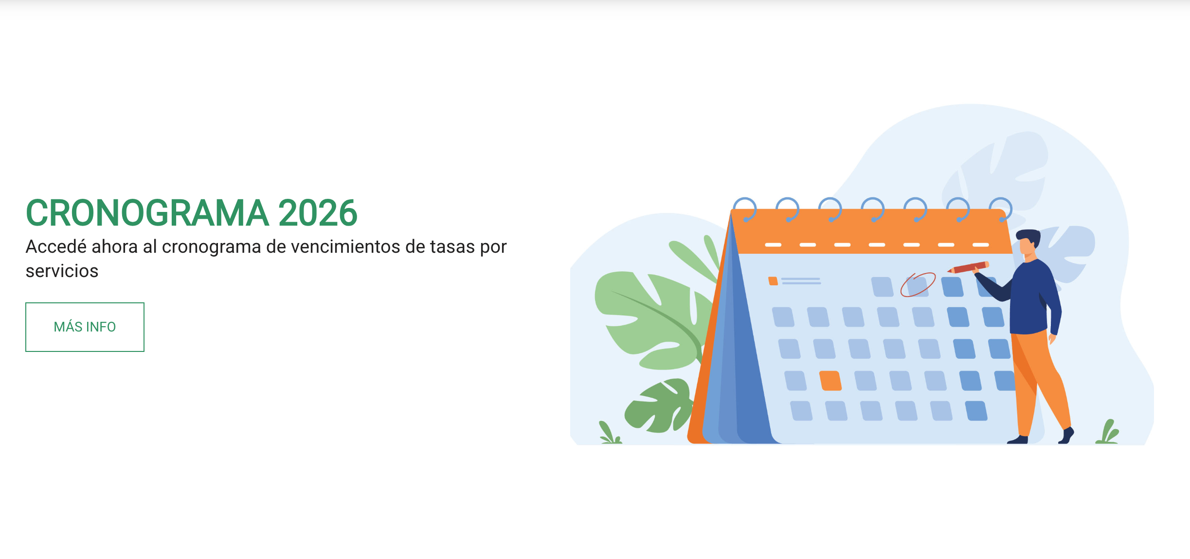 Cronograma 2025